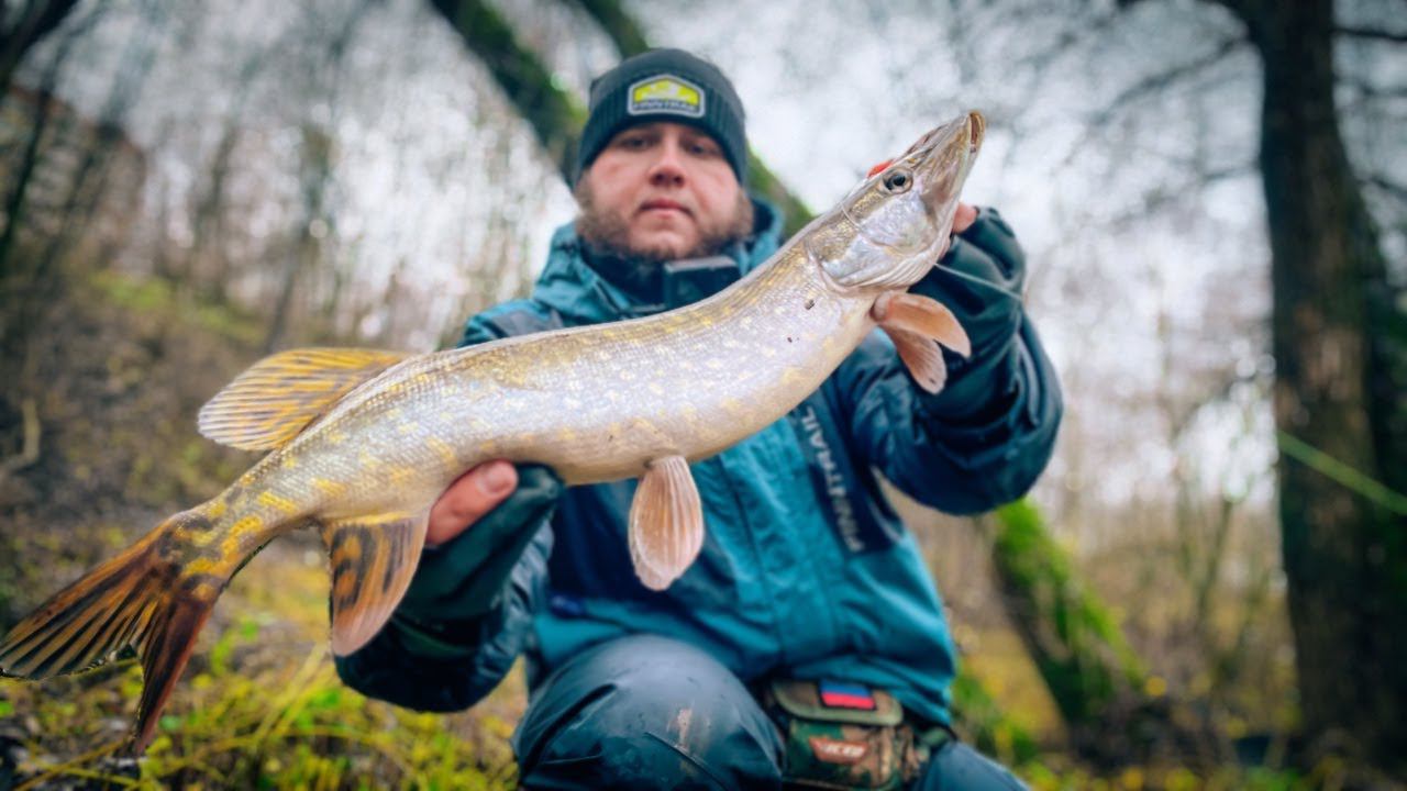 ЩУКИ клюют ОДНА ЗА ДРУГОЙ / ПОЗДНЕОСЕННИЙ ДЖИГ на МИКРО РЕЧКЕ смотреть онлайн
