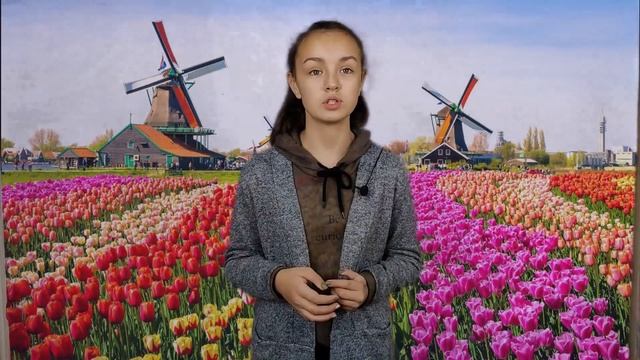 Нидерланды и Голландия: в чём разница? смотреть онлайн