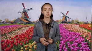 Нидерланды и Голландия: в чём разница?