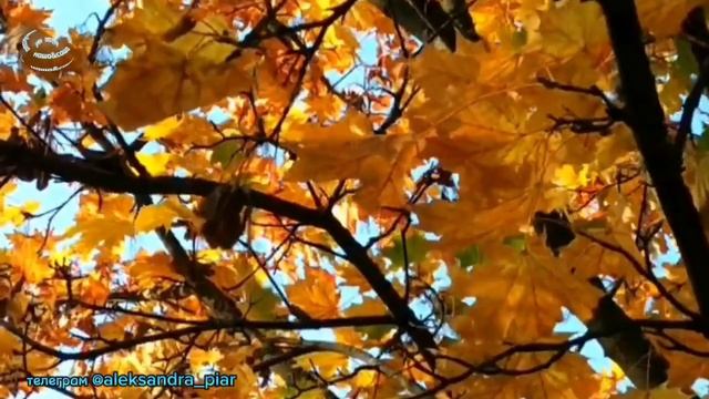 Не забуду смотреть онлайн