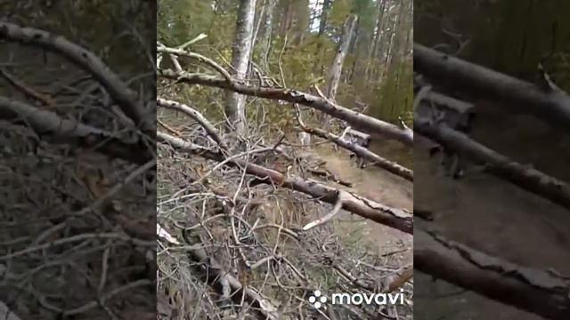 Мото дальняк, ПОЕЗДКА В КРЫМ смотреть онлайн