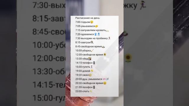 расписание на день чек смотреть онлайн