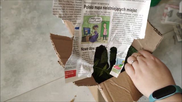 Kupiłam nowe rośliny z allegro - Hands of Plants i zielnikpl - unboxing смотреть онлайн