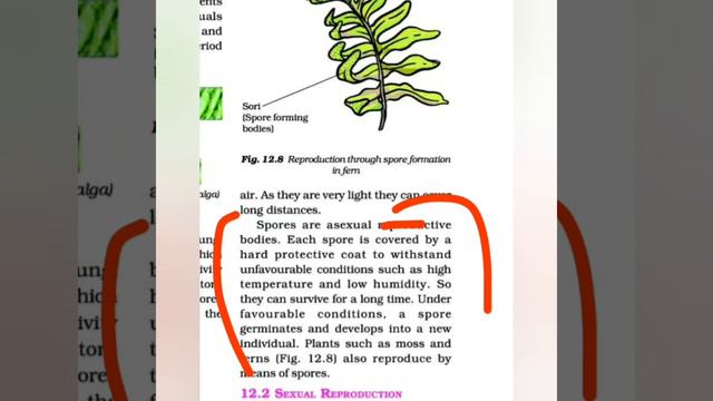 CLASS 7 NCERT SCIENCE CHAPTER 12 REPRODUCTION IN PLANTS .....CLASS 7 .#EDUCATIONAL GURU..... смотреть онлайн