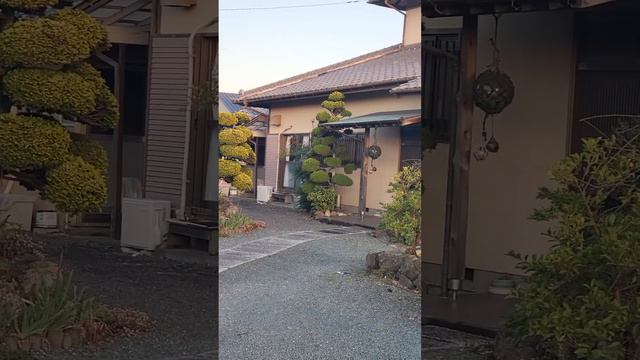 Ниваки в японской деревне смотреть онлайн