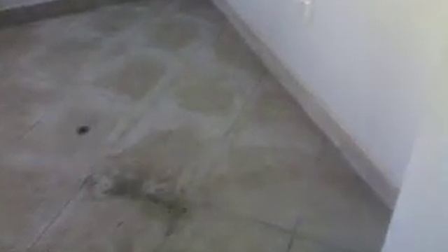 Школа ремонта. Как положить кафель на пол по диагонали смотреть онлайн