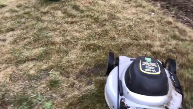 Blippi Lawn Mower Inspired Kids to Learn Yard Work and Tools смотреть онлайн