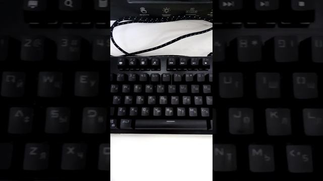 Видео №597634 смотреть онлайн
