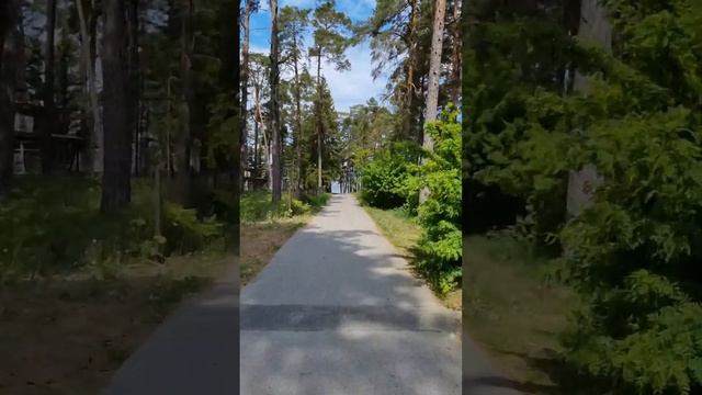 Что удивляет в Эстонской деревне? смотреть онлайн
