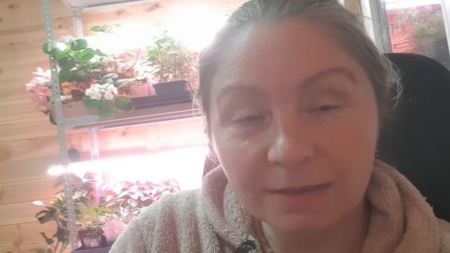 Мой ответ на ваши претензии. Посылка роз из питомника Вдохновение Тольятти. смотреть онлайн