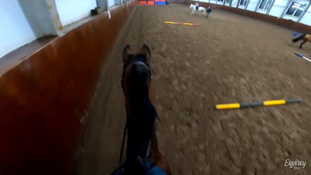 поменяла лошадь? | КОНКУР | GoPro смотреть онлайн