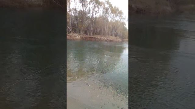 Рыбалка Приморский край ольгинский район с.ветка(1) смотреть онлайн