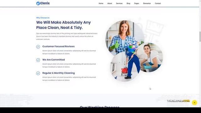 Clenix - Cleaning Services WordPress Theme house cleaning maintenance Build Website смотреть онлайн