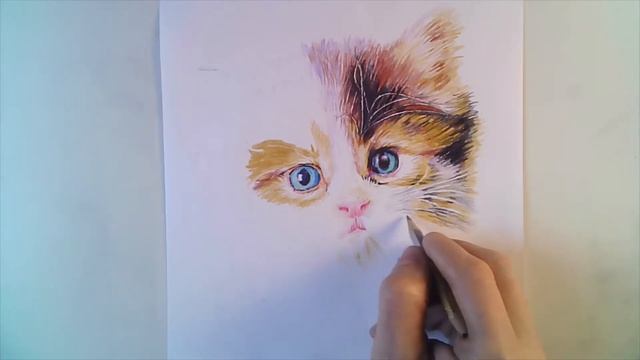 Как нарисовать котенка карандашами смотреть онлайн