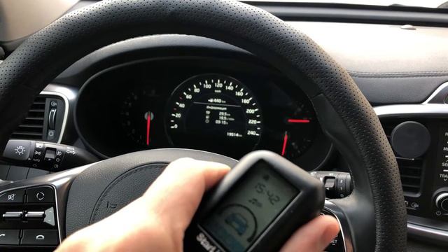 Самые красивые картинки