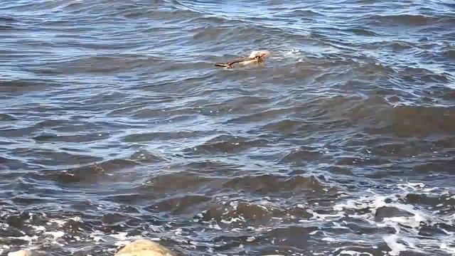 Купить Авиабилеты На Кипр Дешево .Кипр.Ларнака. Форт. [Авиабилеты Кипр] смотреть онлайн