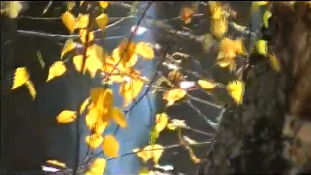 Повремени листопад смотреть онлайн