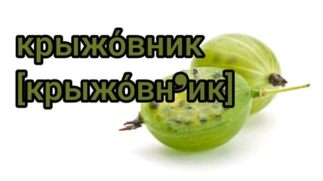 Как произносится крыжовник по-русски смотреть онлайн