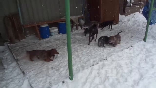 13.01.16........ снежные ванные ...... НОТ/ТАКСЫ/МВБГ смотреть онлайн