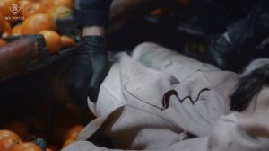 Навстречу опасности 1 сезон 30 серия