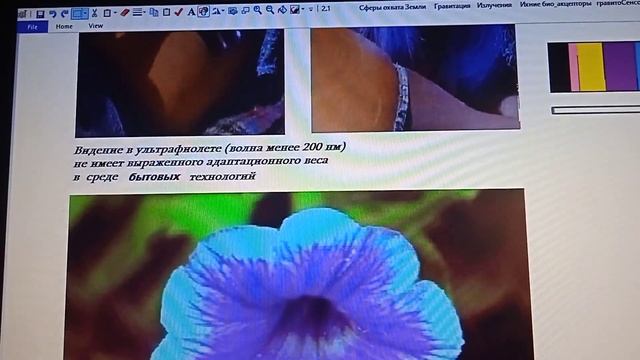 2 1+  Панорамное зрение   Тапетум зрение   Обезьяна дурункум