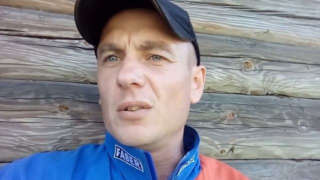 Кормим кур рыбой смотреть онлайн