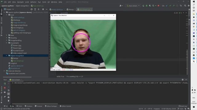 Windows Subsystem For Linux - Webcam Access - Pycharm - Opencv смотреть онлайн