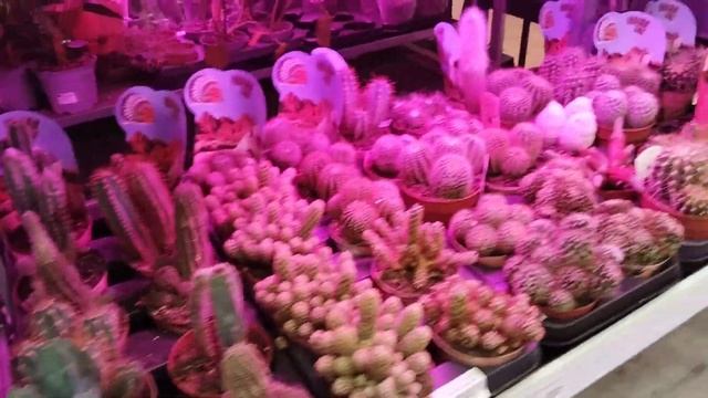 Отопление: Как установить правильно