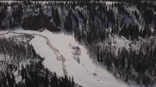 heading to Denali National Park смотреть онлайн