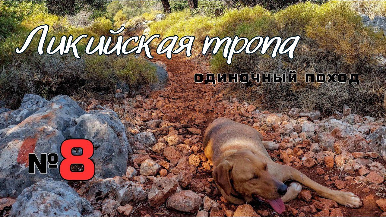 Ликийская тропа. Полезная собака. Много негатива. #8 смотреть онлайн