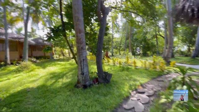 #8 Мальдивы. Обзор водной виллы, SPA. Прогулка по острову. Фихалхохи. Maldives. FIHALHOHI. Август 23 смотреть онлайн