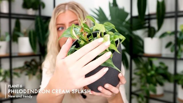 10 Cheap(ish) Rare Houseplants! смотреть онлайн