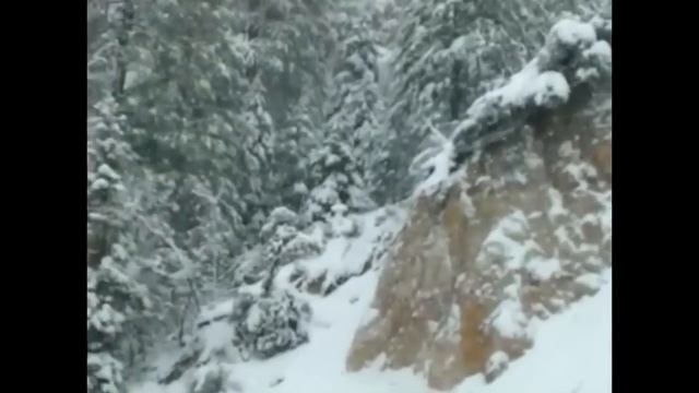 Дэвид Хокинс Выход за пределы переживающего Выдержки из лекций смотреть онлайн