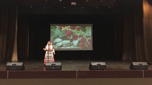 Врублевская Надежда Викторовна стих Пятруся Броўкі «Зямля Беларусі» ТЦСОН г.Берёза смотреть онлайн