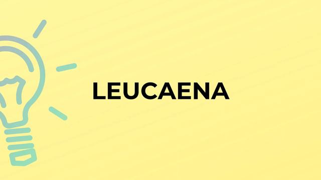 What is the meaning of the word LEUCAENA? смотреть онлайн