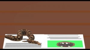 красная книга ТРИ ЖИВОТНЫХ 3D АНИМАЦИЯ