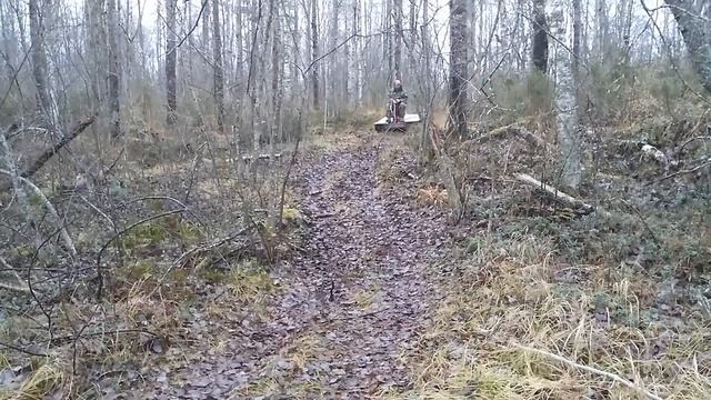 Покатушки в осеннем лесу. смотреть онлайн