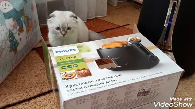 Тили тили тили бом, загорелся кошки дом смотреть онлайн