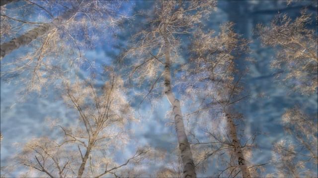 Рядом - зачарованная страна смотреть онлайн