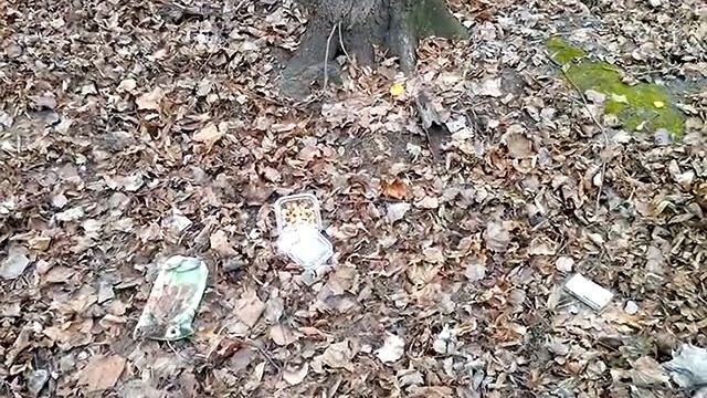 Кормление белок. Часть 2 смотреть онлайн