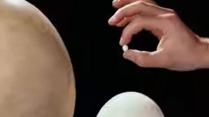 Инкубация  часть 1