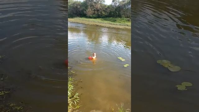 Я купаюсь на даче смотреть онлайн