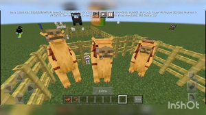 как приучить верблюда в minecraft pe+бонус для новичков как приручить волка,кота,панду