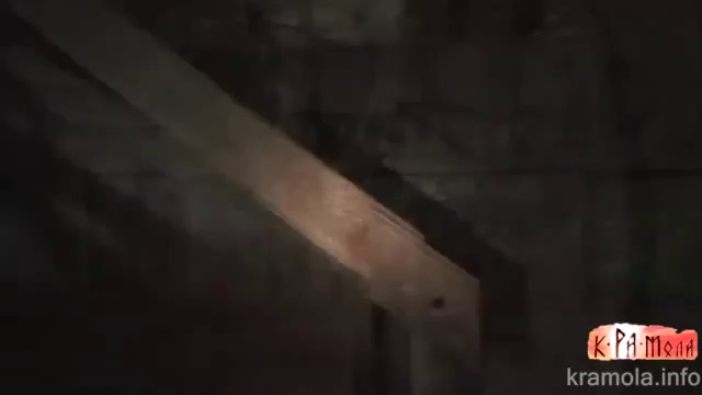 Сенсация! Нашли мегалит под Петербургом... смотреть онлайн