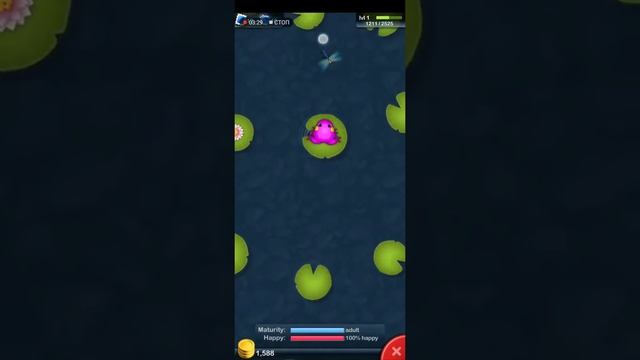 Прохождение игры Pocket Frogs | Радуга Из Лягушек. смотреть онлайн