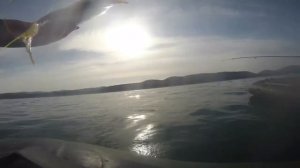 Рыбалка на камбалу в море, о.Сахалин