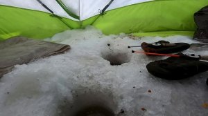 За сорогой (плотвой) Моя прикормка. Заключительная рыбалка 2022.