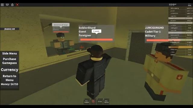 ROBLOX IRF Papers please entry into the city смотреть онлайн