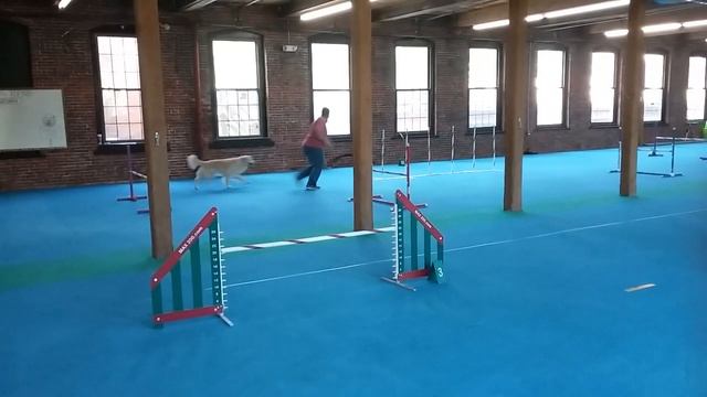 Galatea's She's Got Moxie (Cadieux) (I) Gamblers #109469 Course 1 9.20.20 смотреть онлайн