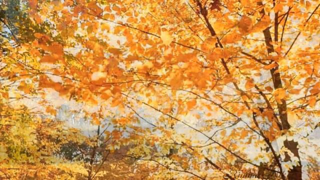 ЗОЛОТАЯ ОСЕНЬ. КРАСИВАЯ МУЗЫКА ДЛЯ ДУШИ. смотреть онлайн